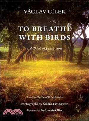 To Breathe With Birds ─ A Book of Landscapes