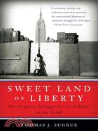 Sweet Land of Liberty ─ The Forgotten Struggle for Civil Rights in the North