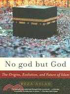 No God but God: The Origins, Evolution, And Future of Islam