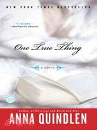 One True Thing | 拾書所