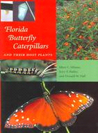 Florida Butterfly Caterpillars And Their Host Plants