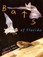 Bats of Florida
