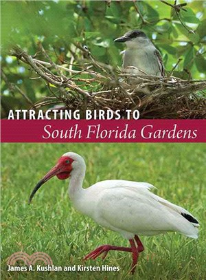 Attracting Birds to South Florida Gardens