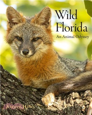Wild Florida：An Animal Odyssey