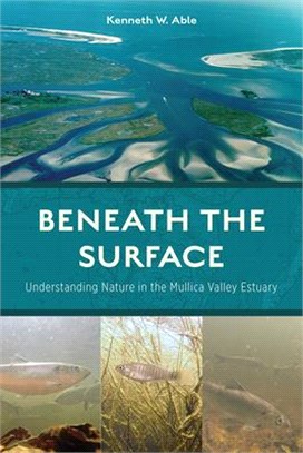 Beneath the Surface ― Understanding Nature in the Mullica Valley Estuary