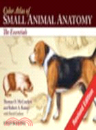 Color Atlas Of Small Animal Anatomy: The Essentials