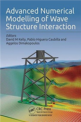 Advanced Numerical Modelling of Wave Structure Interaction