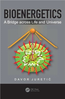 Bioenergetics：A Bridge Across Life and Universe