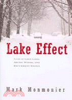 Lake Effect—Tales of Large Lakes, Arctic Winds, and Recurrent Snows