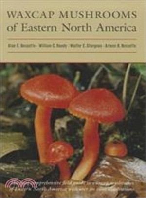 Waxcap Mushrooms of Eastern North America