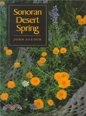 Sonoran Desert Spring