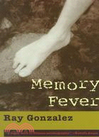 Memory Fever: A Journey Beyond El Paso Del Norte