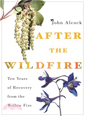 After the Wildfire ─ Ten Years of Recovery from the Willow Fire