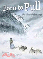 Born to Pull ─ The Glory of Sled Dogs