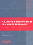 A Path to Combinatorics for Undergraduates: Counting Strategies