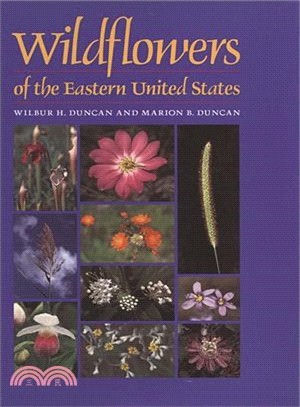 Wildflowers Of The Eastern United States