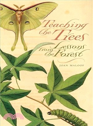 Teaching the Trees ─ Lessons from the Forest