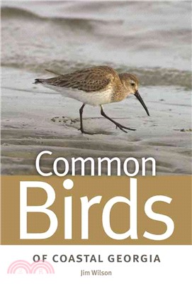 Common Birds of Coastal Georgia