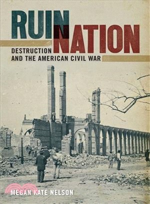 Ruin Nation ─ Destruction and the American Civil War