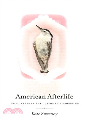 American Afterlife ― Encounters in the Customs of Mourning