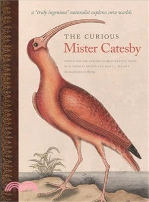 The Curious Mister Catesby ─ A Truly Ingenious Naturalist Explores New Worlds