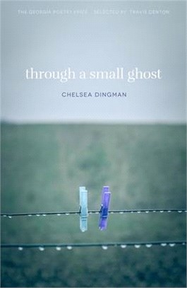 Through a Small Ghost ― Poems