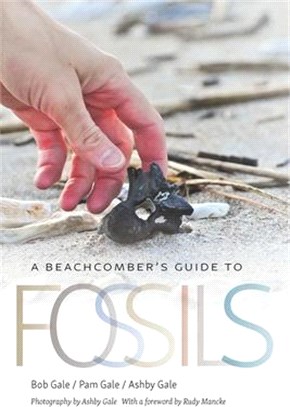 A Beachcomber's Guide to Fossils