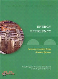 Energy Efficiency—Lessons Learned from Success Stories