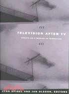 Television After TV ─ Essays on a Medium in Transition