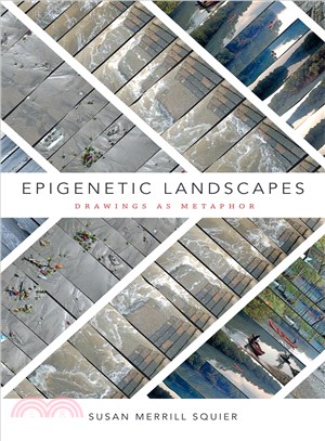 Epigenetic Landscapes ─ Drawings As Metaphor