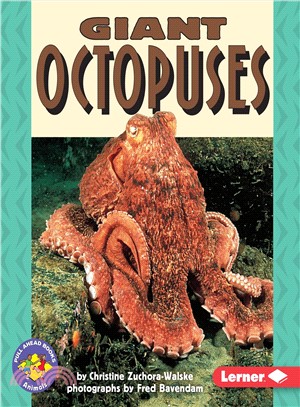 Giant Octopuses