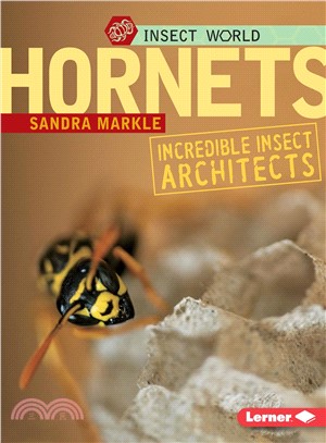 Hornets ─ Incredible Insect Architects