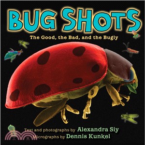 Bug Shots ─ The Good, the Bad, and the Bugly