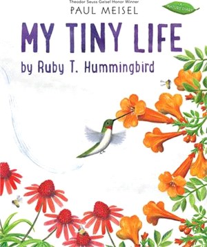 My tiny life by Ruby T. Hummingbird /