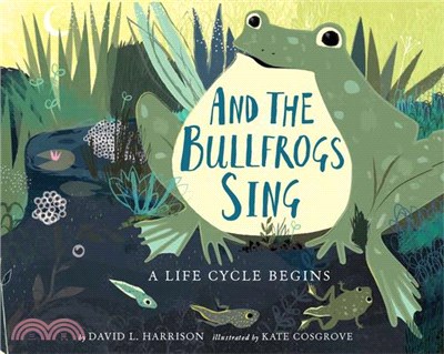 And the Bullfrogs Sing ― A Life Cycle Begins