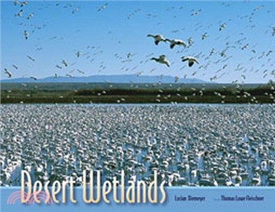 Desert Wetlands