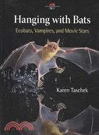 Hanging with Bats: Ecobats, Vampires and Movie Stars