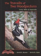 The Travails of Two Woodpeckers: Ivory-Bills & Imperials