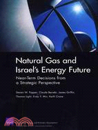 Natural Gas and Israel's Energy Future: Near-Term Decisions from a Strategic Perspective