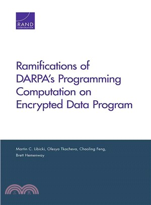 Ramifications of Darpa??Programming Computation on Encrypted Data Program