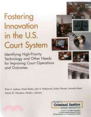 Fostering Innovation in the U.s. Court System ― Identifying High-priority Technology and Other Needs for Improving Court Operations and Outcomes