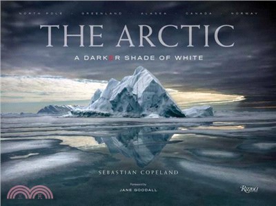 The Arctic：A Darker Shade of White