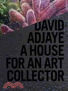 David Adjaye ─ A House for an Art Collector