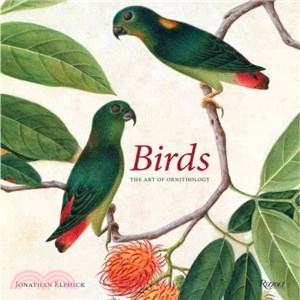 Birds ─ The Art of Ornithology