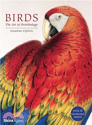 Birds :the art of ornithology /