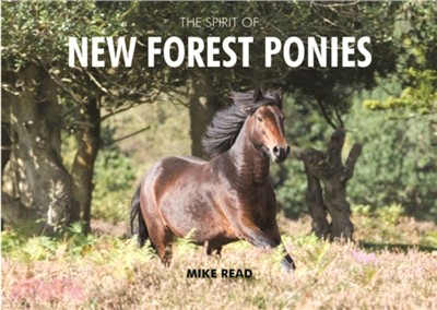 The Spirit of New Forest Ponies