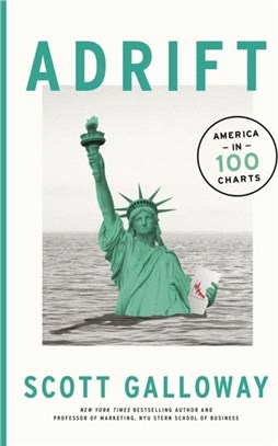 Adrift：100 Charts that Reveal Why America is on the Brink of Change