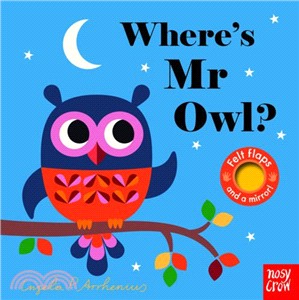 Where's Mr Owl? (Felt Flaps) | 拾書所