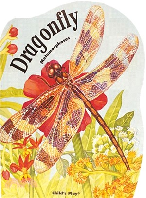 Metamorphoses: Dragonfly | 拾書所