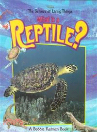 What Is a Reptile?